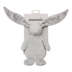 Moonie sensory zeka, Silver
