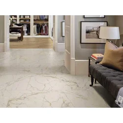 ALL MARBLE GOLD WHITE 30x60