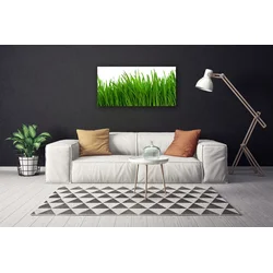 tulup.si Slika na platnu Grass nature rastlin 100x50 cm