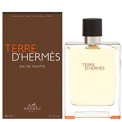 HERMES Muška toaletna voda Terre Dhermes 200ml