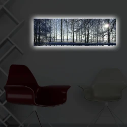 Opviq Slika na platnu sa LED osvetljenjem 30x90cm