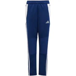 Hlače adidas TIRO24 WINPTY