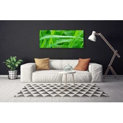 tulup.si Slika na platnu Listi nature dew drops 120x60 cm