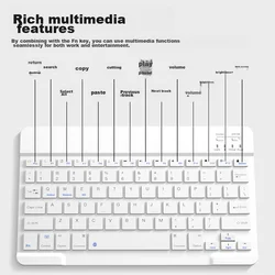 Stiger Tastatura, Bela