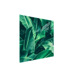 shumee Steklena zaščitna plošča za štedilnik 50x52 Leaf