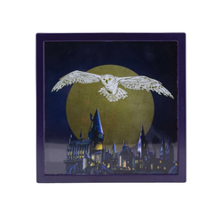 Kasica Paladone Harry Potter - Hedwig Frame - Money Box