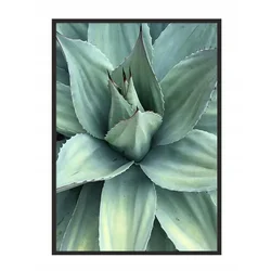 shumee PLAKAT V OKVIRJU 53x73 cm Listi P1035