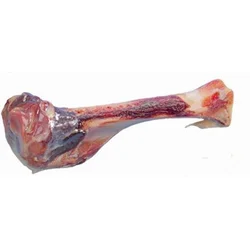 Nobby naravna kost Medium - cca 17 cm