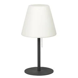 RABALUX Spoljna podna lampa E27 Lida 8658 crna