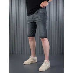 Denistar Muški šorts 100-2842, Regular, Sivi