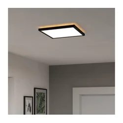 Eglo 901466-LED RGBW plafonsko kupatilsko svetlo ROVITO-Z 13,4W/230V 29x29cm IP44 crna
