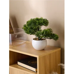 Sinsay - Bonsai drvo u saksiji - zeleno