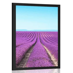 Plakat neskončna polja sivke - 30x45 silver