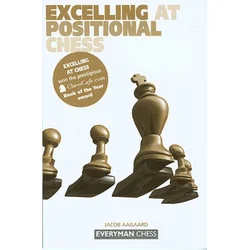 Excelling at Positional Chess: