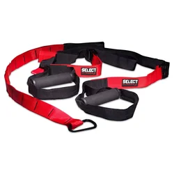 TRX TRAK SELECT