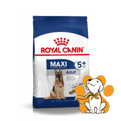 Royal Canin SHN Maxi Adult +5, 15kg, Potpuna Hrana Za Odrasle Pse Velikih Rasa