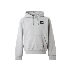 THE NORTH FACE Majica BOX HALF DOME svetlo siva