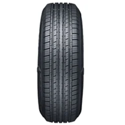 Aptany RU101 ( 215/65 R17 99T )