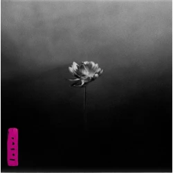 Little Simz - Lotus (2 LP)