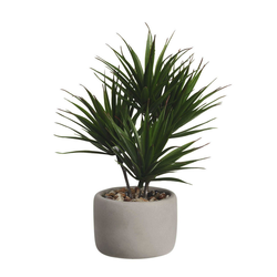 BONSAI