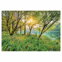 Komar foto tapet 8-524