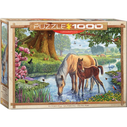 Eurographics - Puzzle The Fell Ponies - 1 000 kosov