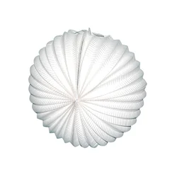 Bela kroglasta svetilka 25 cm