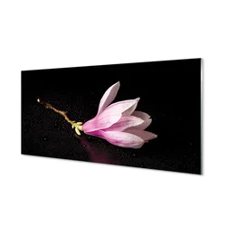 tulup.si Slika na akrilnem steklu Cvet vode 100x50 cm 4 obešalnika