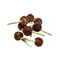 PET PRO Lizalica za pse Snacks od govedine, 350 g, 31 komad