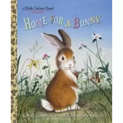 Home for a Bunny