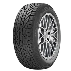 Riken SUV Snow ( 255/45 R20 105V XL )