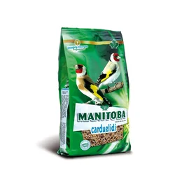 Manitoba CARDUELIDI