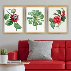 Wallity Set uramljenih slika 3AC_52096228, 3 Dela