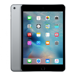 APPLE tablični računalnik iPad mini 4 Wi-Fi 128GB, siv (MK9N2HC/A)