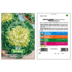 SOLATA ENDIVIJA RUMENA 10gr