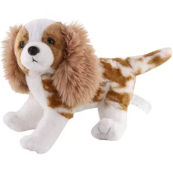 Kavalir King Charles španjel 26 cm