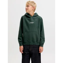 Jack & Jones Junior Majica JJESoho jelka / bela