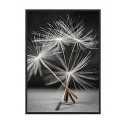 shumee SLIKA, PLAKAT V OKVIRJU 53x73 cm Regrat P521
