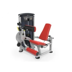 IT9528 LEG EXTENSION/LEG CURL