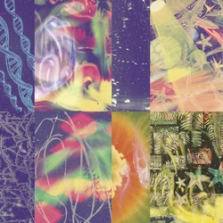 Nap Eyes - The Neon Gate (LP)