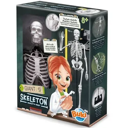 Skelet 45cm Buki 104308