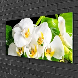 tulup.si Slika na steklu Orhideje narava 120x60 cm 2 obešalnika
