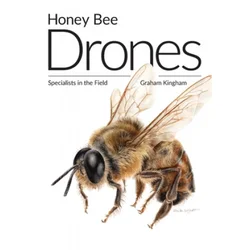 Honey Bee Drones