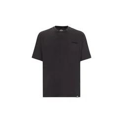 Dickies  PLENTYWOOD  Kostanjeva
