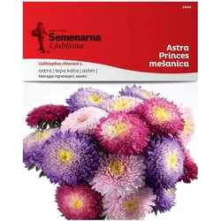 Seme Astra Princes - mešanica