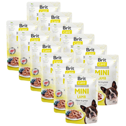 Brit Care MINI Lamb 12x85 g