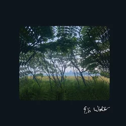 Eli Winter - Eli Winter (LP)