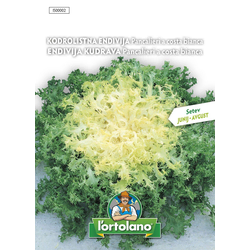 Endivja kodrolistna - 5g