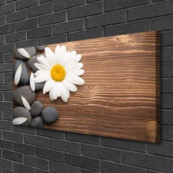 tulup.si Slika na platnu Daisy latice rastlin 100x50 cm