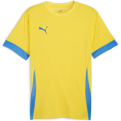 Dres Puma teamGOAL Matchday Jersey
